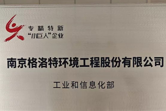 国际专精特新“小巨人”企业